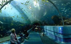 世界上最大的水族館排名，中國有兩處上榜