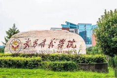 2021湖北省十大民辦大學(xué)排名，第一名武昌首義學(xué)院