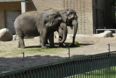 全球10大最神奇的動物園，中國入榜一個！