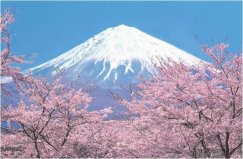 日本最美的自然風(fēng)光：富士山奪冠，你去過幾個？