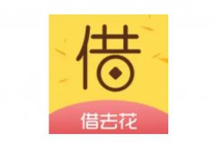 2022小額度1000元秒下款app：口袋花上榜，借去花居首