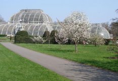 世界十大著名植物園排行榜，柏林植物園位居第九