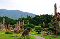 深圳十大城市公園：園博園入榜，仙湖植物園居榜首