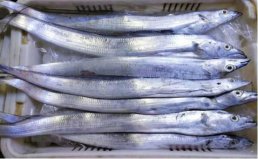 高嘌呤的食物排行榜：帶魚、豬肝位列前兩名