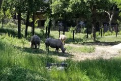 世界十大最佳動(dòng)物園，世界最著名的動(dòng)物園