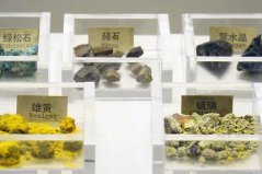 古代宮廷十大補品：海參、魚翅上榜，五色藥石居榜首