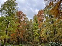 上海值得去的六大公園，上海好玩的公園排行榜