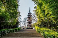 上海著名的六大森林公園，佘山國(guó)家森林公園排第一